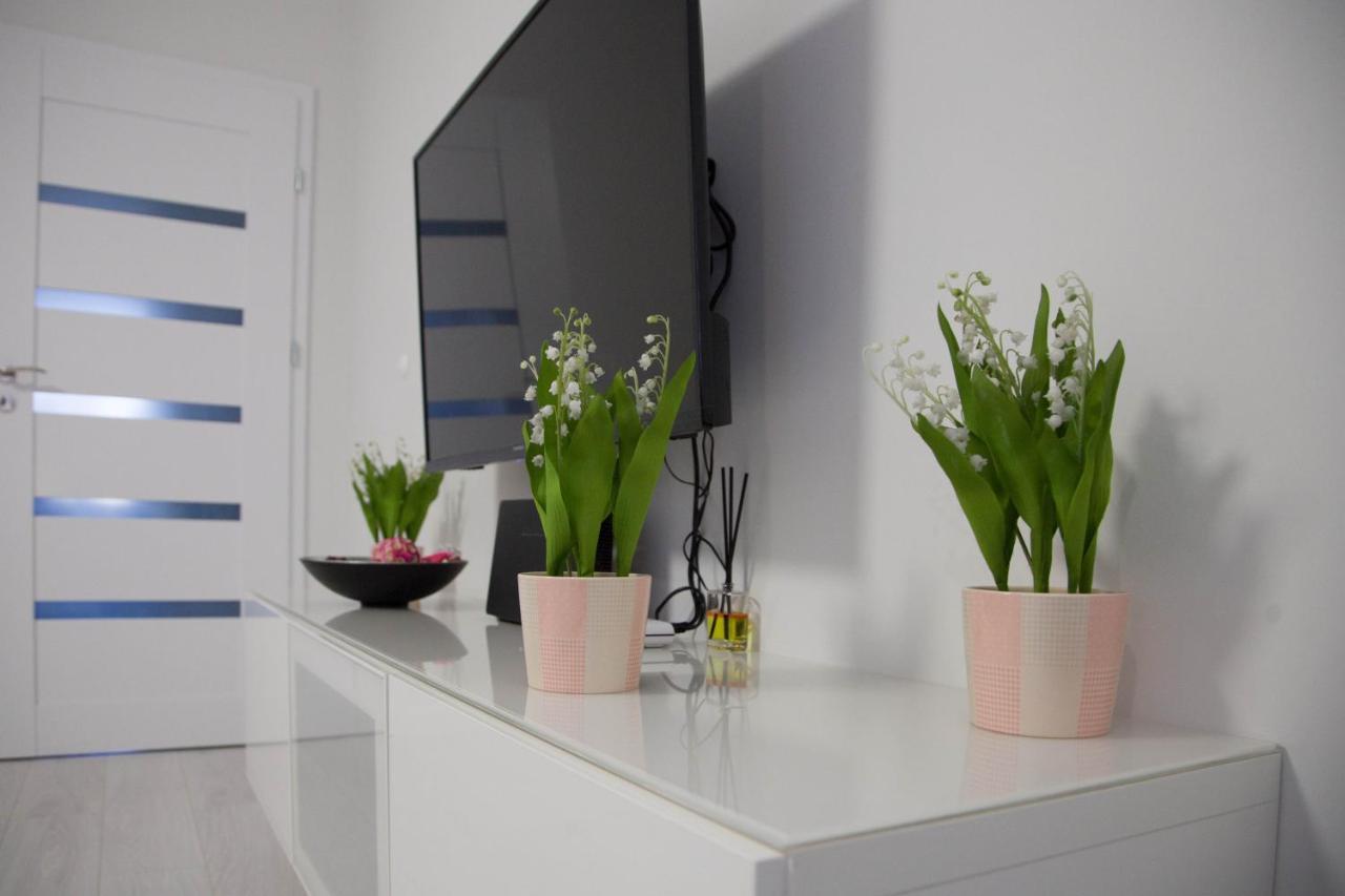 Apartament Wroclaw Borowska Экстерьер фото